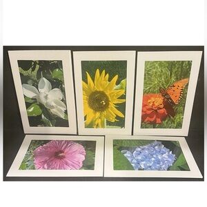 Lot Of 5 - 4 X 6 Self Taken Summer Blank Occasion / Greeting Cards  - Flowers